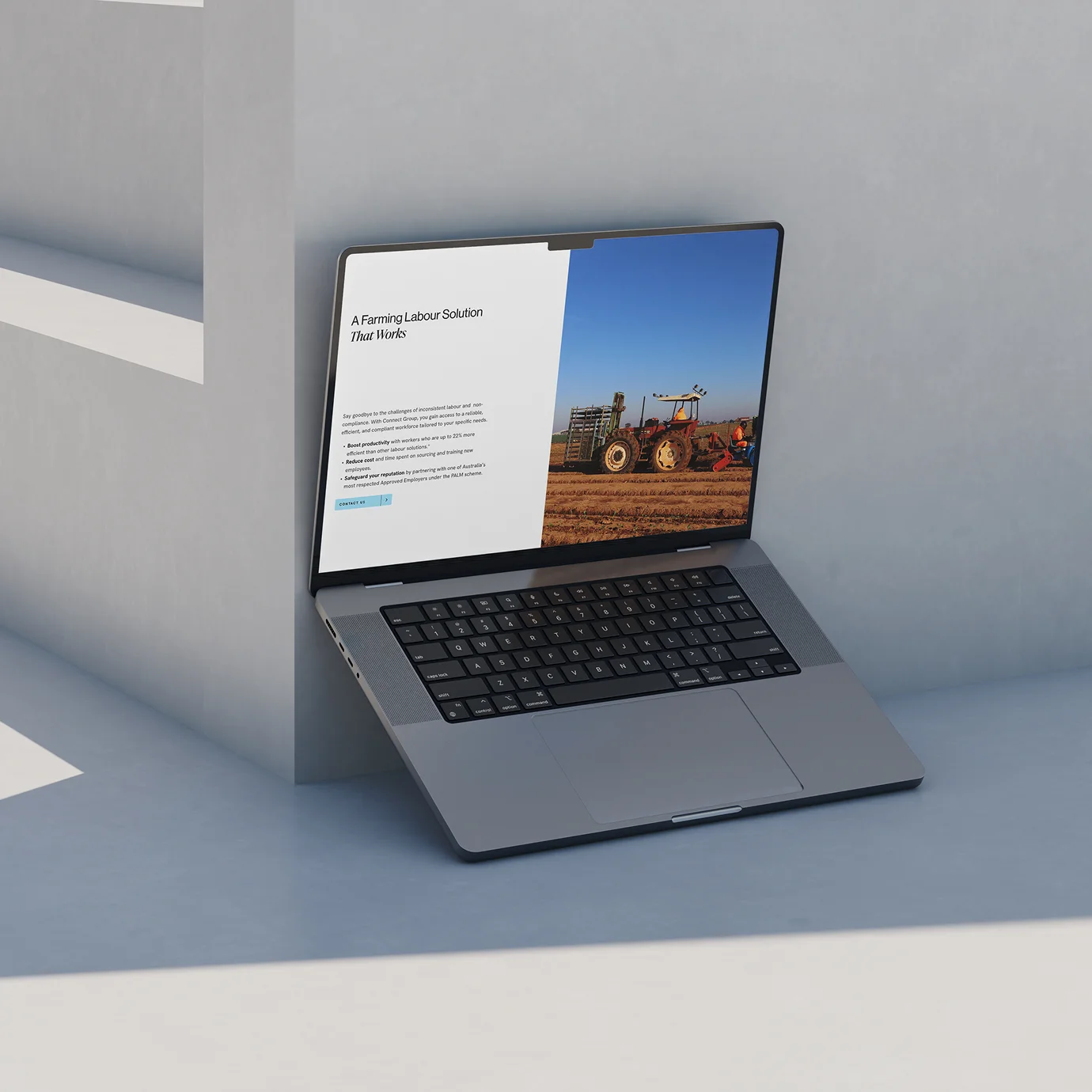 Discover Premier Web Design Services in Tauranga