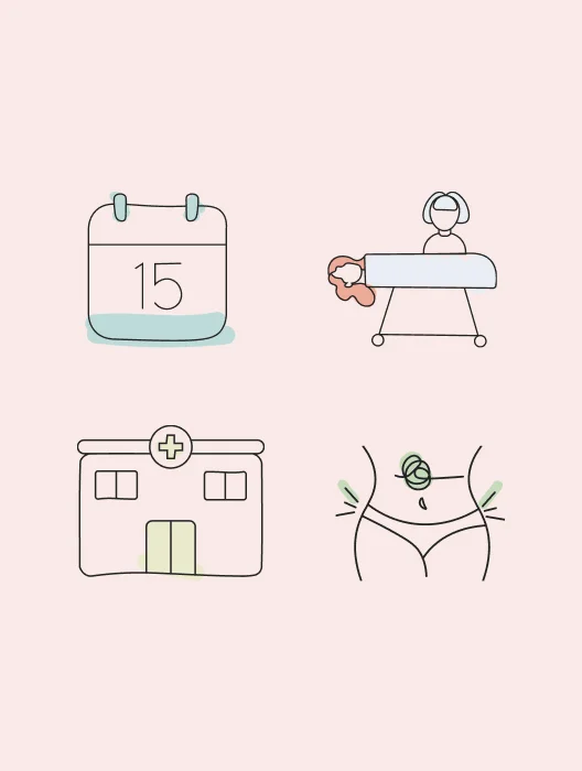 Iconography and illustration system showing branded visual elements, shapes, and graphic details.